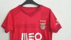 SL Benfica Shirt Maat 116, Kinderen en Baby's, Kinderkleding | Maat 116, Jongen of Meisje, Ophalen of Verzenden, Zo goed als nieuw