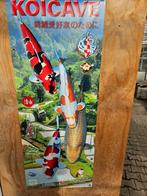 Koi schilderijen, Koi mozaiek, Koi cave doek, Karper of Koi