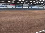 Dressuurbaan 20 x 40, Dieren en Toebehoren, Ophalen of Verzenden, Dressuur