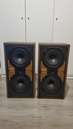 KEF Carina 2 luidsprekers, Gebruikt, 60 tot 120 watt, Front, Rear of Stereo speakers, Ophalen