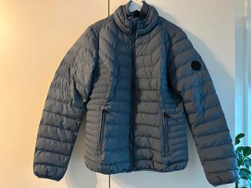 Jack Airforce beschikbaar voor biedingen