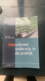 K. Bruin - Intercultureel onderwijs in de praktijk, Sociale wetenschap, Ophalen of Verzenden, Zo goed als nieuw, K. Bruin; H. van der Heijde