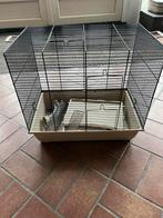 Hamsterhok, Dieren en Toebehoren, Minder dan 60 cm, Gebruikt, Minder dan 75 cm, Ophalen of Verzenden