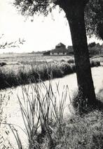 Alphen aan den Rijn (ZH) De Lagewal., Verzenden, 1960 tot 1980, Ongelopen, Zuid-Holland