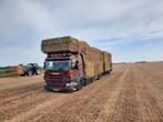 Graszaadhooi, Dieren en Toebehoren, Dierenvoeding, Ophalen of Verzenden, Vee