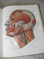 Anatomie Atlas, Sobotta, Boeken, Ophalen of Verzenden, Zo goed als nieuw, Natuurwetenschap
