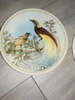 verzamel paradijsvogels, wandbord WNF 1983, Ophalen of Verzenden