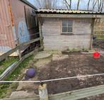 Stalling vrij in Baarn voor paarden tot 1.50m, Weidegang, 2 of 3 paarden of pony's