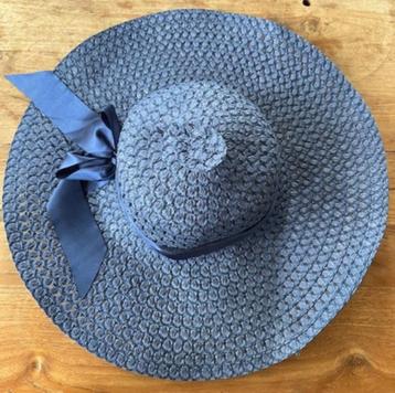 Blauwe hoed beschikbaar voor biedingen