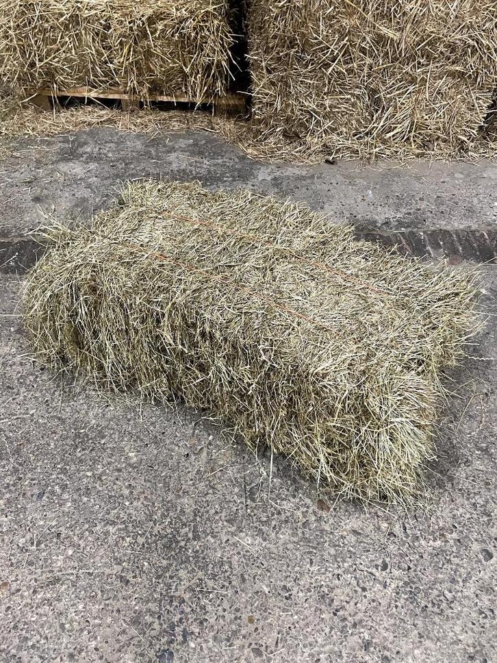 Gedorsen Engelsraai graszaadhooi, Dieren en Toebehoren, Dierenvoeding, Overige soorten, Verzenden