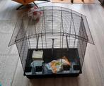 Vogelkooi, Dieren en Toebehoren, Vogels | Hokken en Kooien, Ophalen
