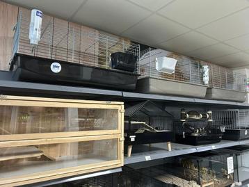 Diverse knaagdieren en konijnen verblijven beschikbaar voor biedingen