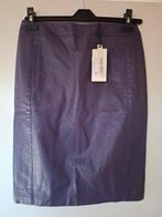 Nieuwe paarse rok, 36, Cadadia, Kleding | Dames, Rokken, Paars, Nieuw, Ophalen of Verzenden, Knielengte