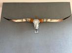 Longhorn Wanddecoratie Zilverkleurig, Ophalen, Zo goed als nieuw