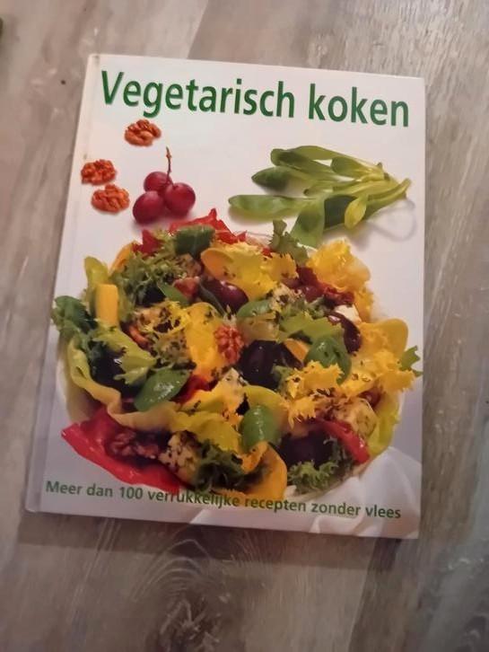 Vegetarisch - da's pas koken, Boeken, Kookboeken, Zo goed als nieuw, Vegetarisch, Ophalen of Verzenden