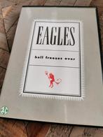 DVD Eagles hell freezes over, Cd's en Dvd's, Dvd's | Muziek en Concerten, Ophalen of Verzenden, Muziek en Concerten, Zo goed als nieuw