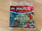 lego 30650 Polybag Ninjago nieuw, Kinderen en Baby's, Speelgoed | Duplo en Lego, Ophalen of Verzenden, Nieuw, Complete set, Lego