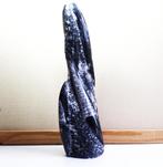 Groot fossiel van een inktvis, Verzamelen, Ophalen of Verzenden, Fossiel