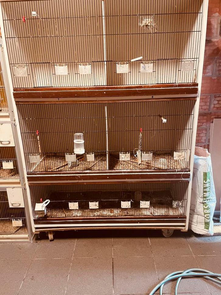 Grote Broedkooi op Wielen - Incl. Accessoires!, Dieren en Toebehoren, Vogels | Hokken en Kooien, Ophalen
