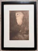 Jan Mankes 1889-1920 / Heliogravure Uil op Boomtak 1923, Antiek en Kunst, Kunst | Etsen en Gravures, Ophalen of Verzenden