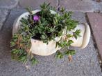 Kleine aardewerk kruik tuinvaas met plant, Ophalen of Verzenden, Gebruikt