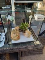 Aquarium 30L met pomp,verlichting en verwarmingselement enz., Dieren en Toebehoren, Vissen | Aquaria en Toebehoren, Ophalen, Gebruikt