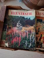 Katholieke illustratie 1956 tm 1964 maandbladen., Boeken, Tijdschriften en Kranten, Ophalen, Zo goed als nieuw