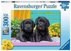 Ravensburger: Zwarte Labradors 300 XXL stukjes, ., Nieuw, ., 6 jaar of ouder