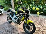 Suzuki SFV650A Gladius met akrapovic, tomtom navi en koffers, Motoren, Motoren | Suzuki, 2 cilinders, Handvatverwarming, Particulier