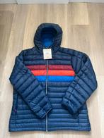 Cotopaxi winterjas, Blauw, Ophalen of Verzenden, Cotopaxi, Maat 56/58 (XL)