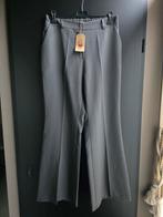 Nieuw biba pantalon xxl grijs, Maat 46/48 (XL) of groter, Nieuw, Ophalen of Verzenden, Grijs