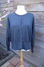 Vest donkerblauw Jensen mt 2Xl Vaste prijs, Kleding | Dames, Jensen, Blauw, Maat 46/48 (XL) of groter, Ophalen of Verzenden