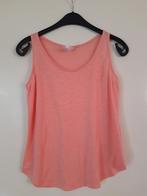 Top / hemdje maat 36/38 zalm/lichtroze Rainbow, Rainbow, Ophalen of Verzenden, Roze, Gedragen