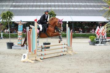 Duitse rijpony met winnaarsmentaliteit beschikbaar voor biedingen