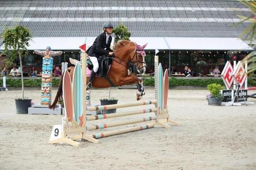 Duitse rijpony met winnaarsmentaliteit, Dieren en Toebehoren, Pony's, Merrie, L, D pony (1.37m tot 1.48m), Springpony, 11 jaar of ouder
