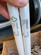 Gratis TL-buizen NIEUW meer dan 30 stuks 36w 840 120cm, Ophalen, Nieuw, Lamp
