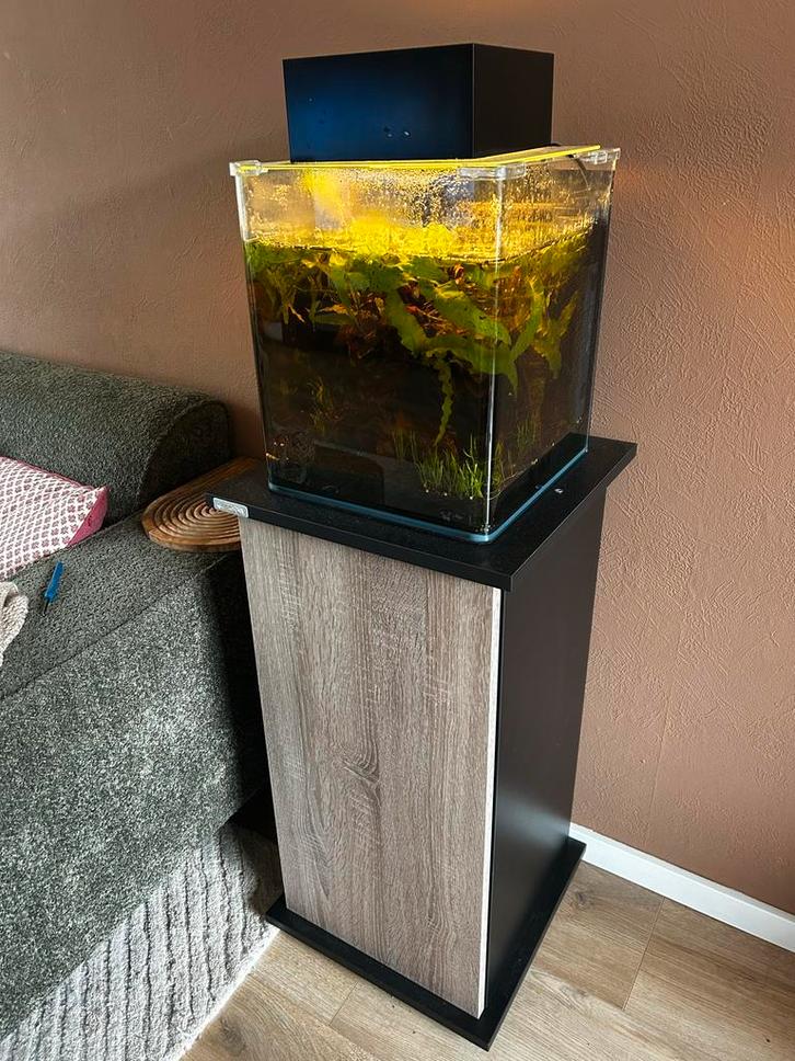 Aquarium (met inhoud) + kastje en toebehoren, Dieren en Toebehoren, Vissen | Aquaria en Toebehoren, Gevuld zoetwateraquarium, Ophalen