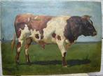 Schilderij van een Stier, gesigneerd, WTvS - Starkenborgh, Ophalen of Verzenden