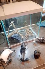 SuperFish start 30 met accessoires en spiderwood, Ophalen, Gebruikt, Leeg aquarium