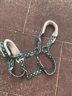Vrolijk groen ponyhalster (maat pony), Verzenden, Zo goed als nieuw, Overige soorten