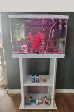 Superfish aquarium 70 liter met meubel en toebehoren, Dieren en Toebehoren, Ophalen, Zo goed als nieuw, Leeg aquarium