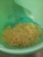 Gratis waterkefir, Diversen, Ophalen