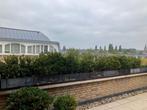 plantenbakken met buxus en buxusachtigen, Volle zon, Vaste plant, Bloeit niet, Ophalen