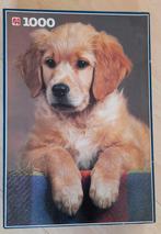 JUMBO PUZZEL 1000 STUKJES GOLDEN RETRIEVER PUPPY  COMPLEET, Ophalen of Verzenden, 500 t/m 1500 stukjes, Zo goed als nieuw, Legpuzzel