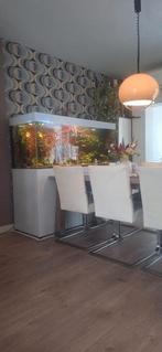 Groot wit aquarium, Dieren en Toebehoren, Vissen | Aquaria en Toebehoren, Ophalen, Zo goed als nieuw, Leeg aquarium