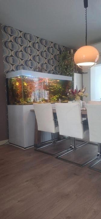 Groot wit aquarium, Dieren en Toebehoren, Vissen | Aquaria en Toebehoren, Zo goed als nieuw, Leeg aquarium, Ophalen