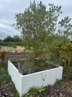 Plantenbak, Tuin en Terras, Bloembakken en Plantenbakken, Ophalen, Kunststof, 100 cm of meer, Vierkant