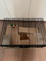 Hamster/rat kooi: ruim, Dieren en Toebehoren, Minder dan 75 cm, Zo goed als nieuw, Ophalen, Minder dan 60 cm