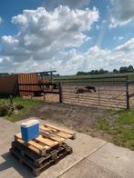 Aangeboden paardenboxen,paddock en weidegang, Dieren en Toebehoren, Stalling en Weidegang, Weidegang