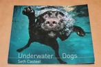 Onderwaterhonden — Uniek & Humoristisch Fotoboek, Ophalen of Verzenden, Gelezen, Katten